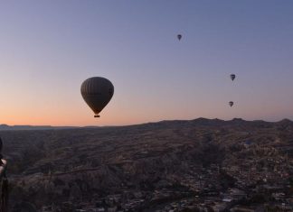 From a Sunday Stroll to Nature Enthusiasts