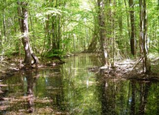 Smyrna The Second City of the Seven Churches