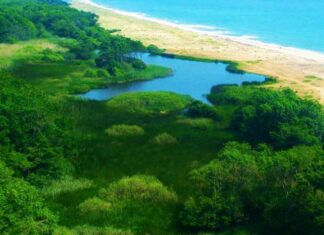 Letter Writing in the Roman Empire