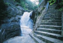 The Purpose of Revelation for the Seven Churches