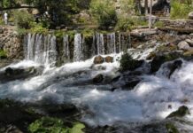 The Festival of Bacchus in Egypt