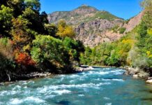 Cambyses Tests the Fallen King of Egypt