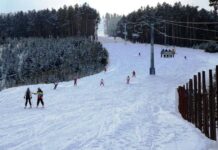 The Situation in Athens When Croesus Inquired